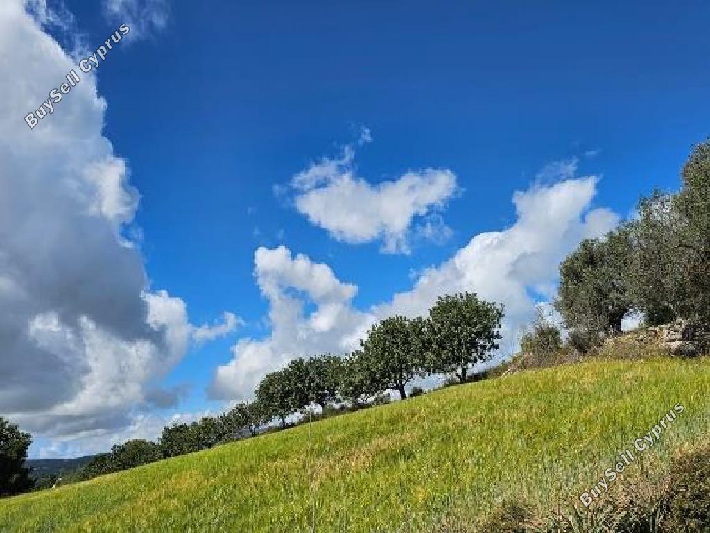 land for sale drynia paphos 7839477 image 15596644