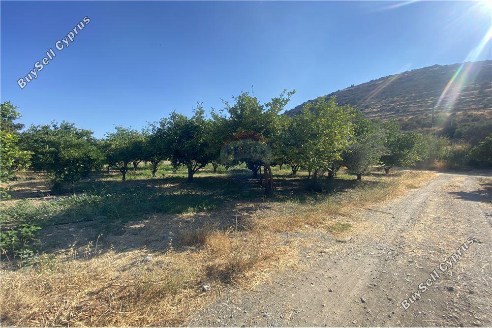 land for sale germasogeia limassol 1504477 image 14121425