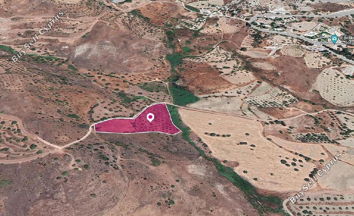 7535 SQM Land for sale in Episkopi Pafou, Paphos 14206485