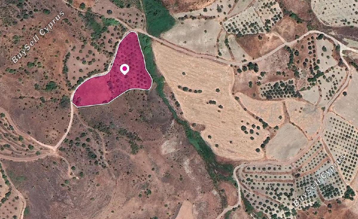 land for sale episkopi pafou paphos 1897577 image 14206475