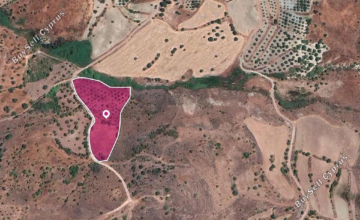 land for sale episkopi pafou paphos 1897577 image 14206479