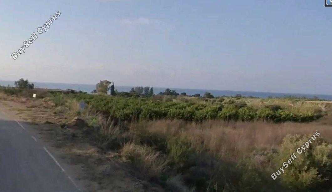 land for sale poli chrysochous paphos 1681577 image 6388726