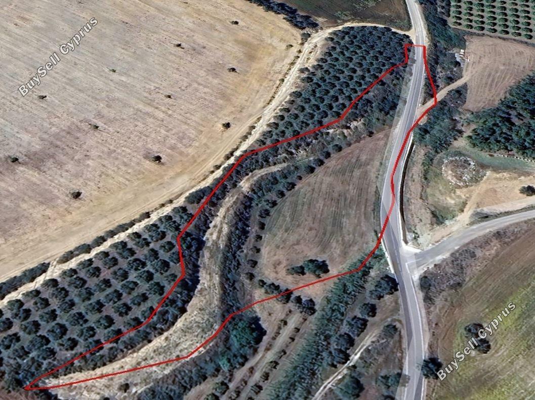 land for sale poli chrysochous paphos 1681577 image 6388727