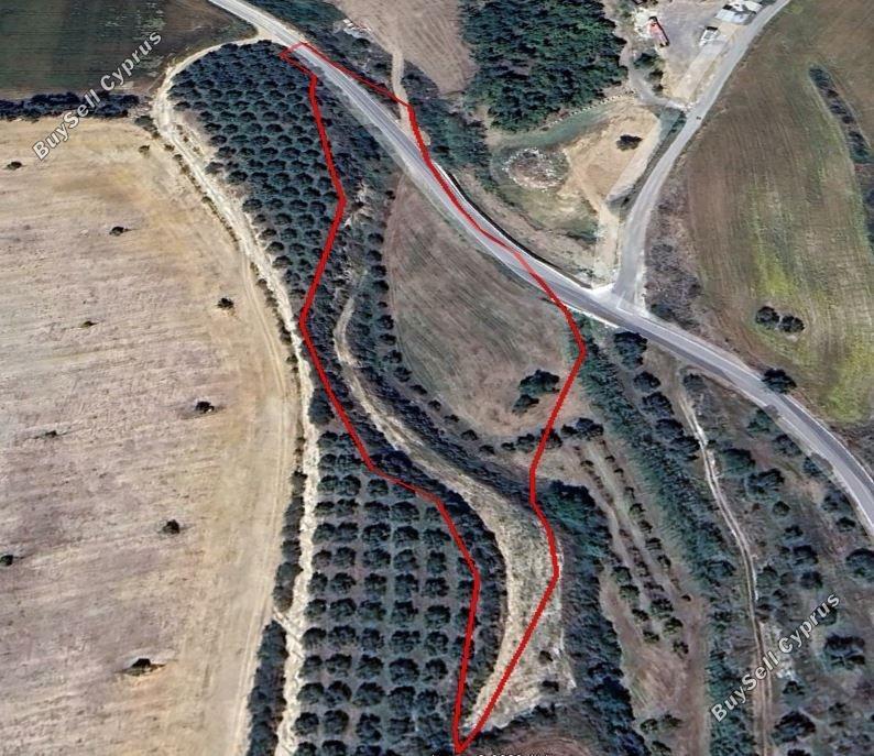 land for sale poli chrysochous paphos 1681577 image 6388728