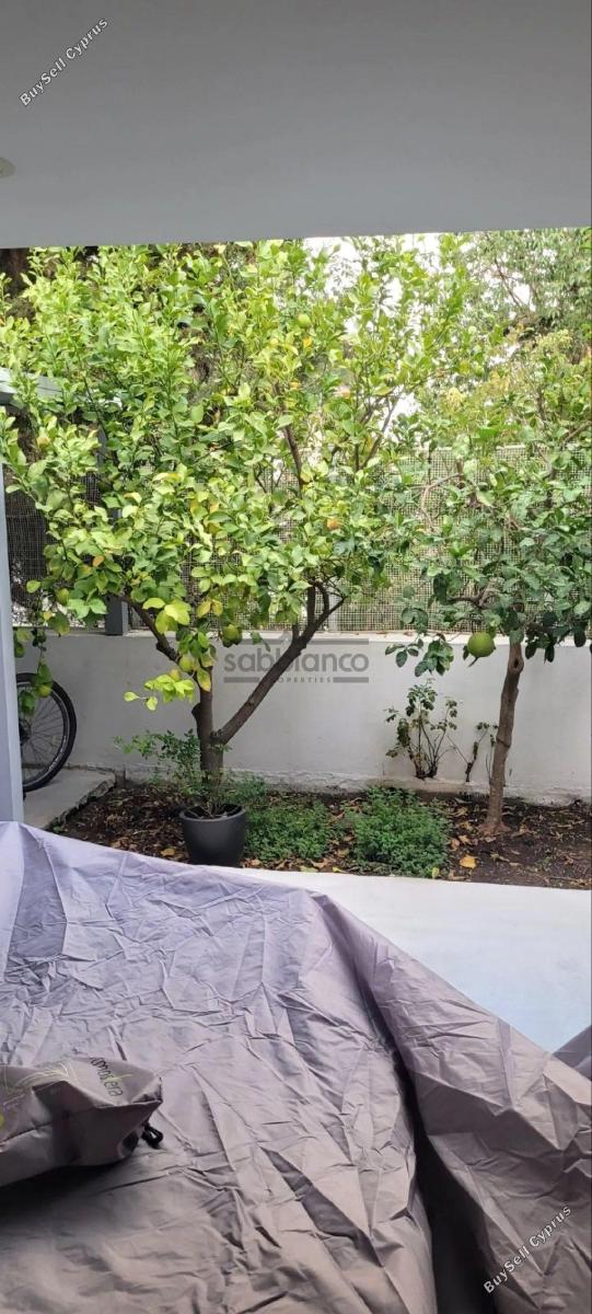 3 bedroom detached house for sale egkomi nicosia 8748677 image 16467594