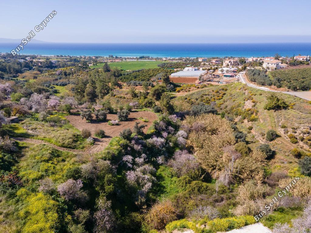 land for sale argaka paphos 824677 image 15599262