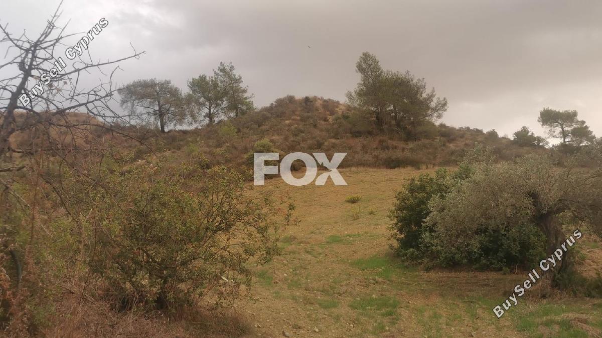 land for rent agios spyridonas limassol 8117777 image 15607142