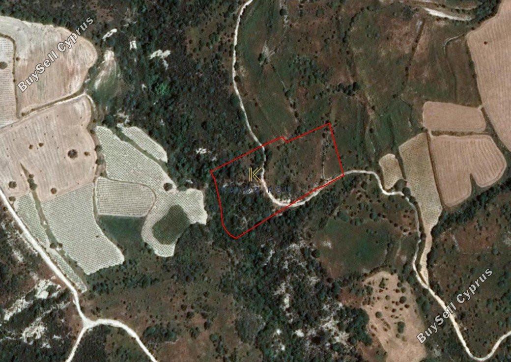 land for sale dora limassol 1194777 image 5570522