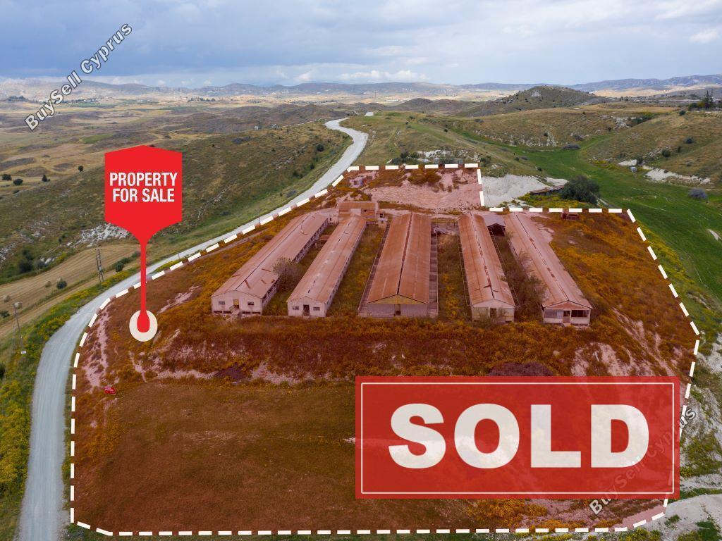 studio farm sold aradippou larnaca 822777 image 670699