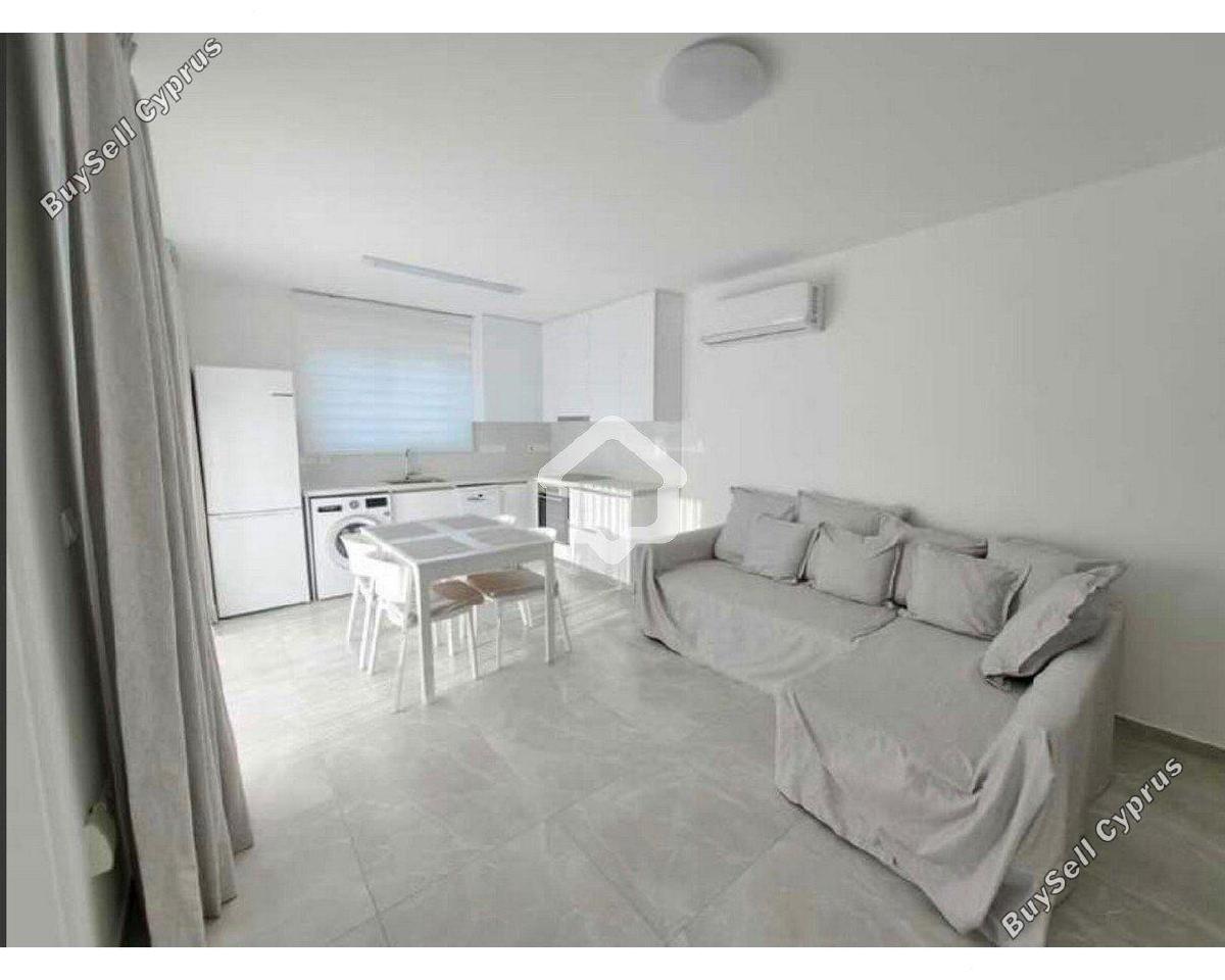 1 bedroom apartment for rent strovolos nicosia 8710877 image 16336103