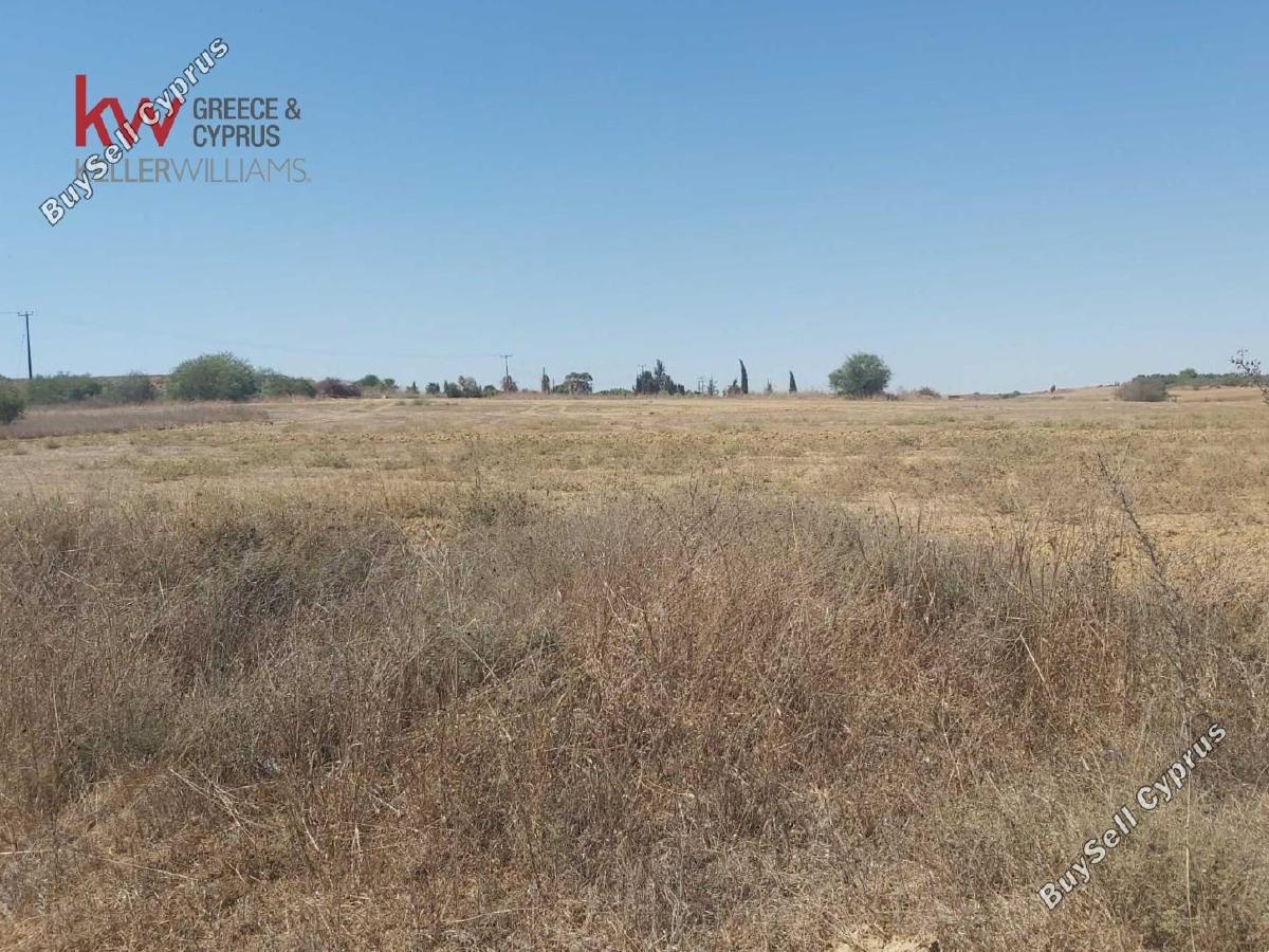 8237 SQM Land for sale in Avgorou, Famagusta 16653146