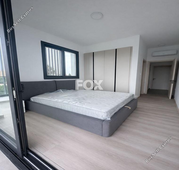 2 bedroom apartment for rent agios georgios limassol limassol 8381877 image 14934776