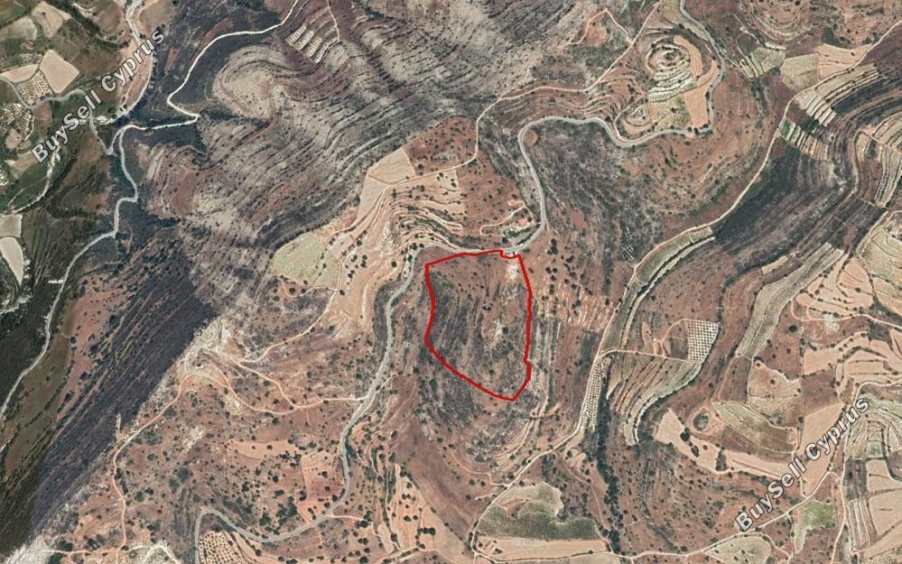 land for sale pachna limassol 828877 image 11082288