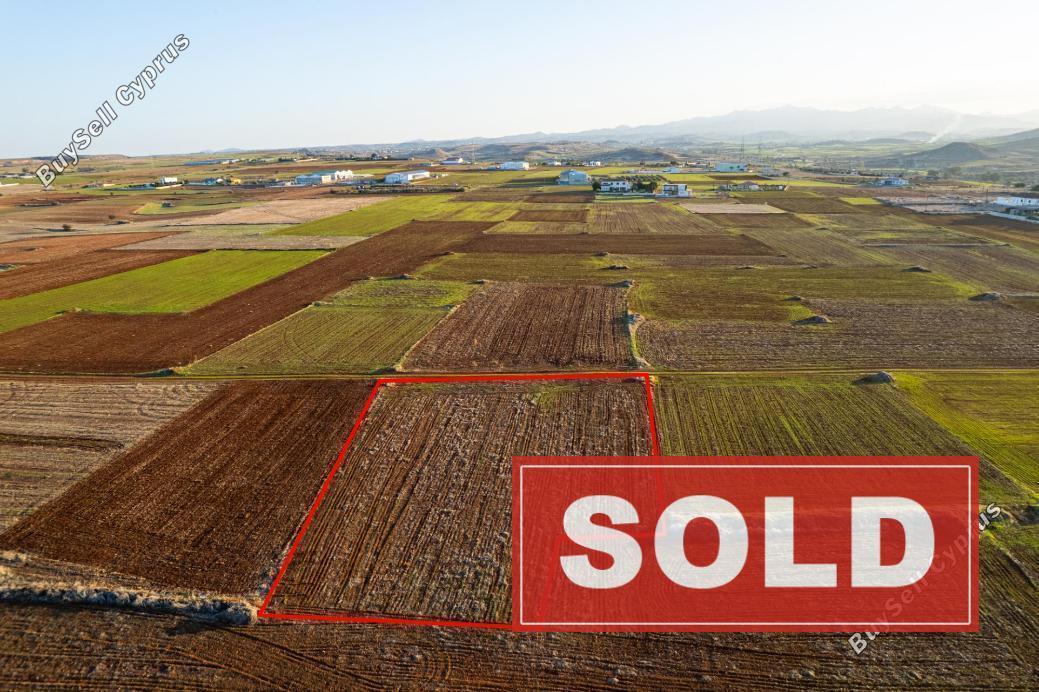 land sold agioi trimithias nicosia 1011977 image 2893292