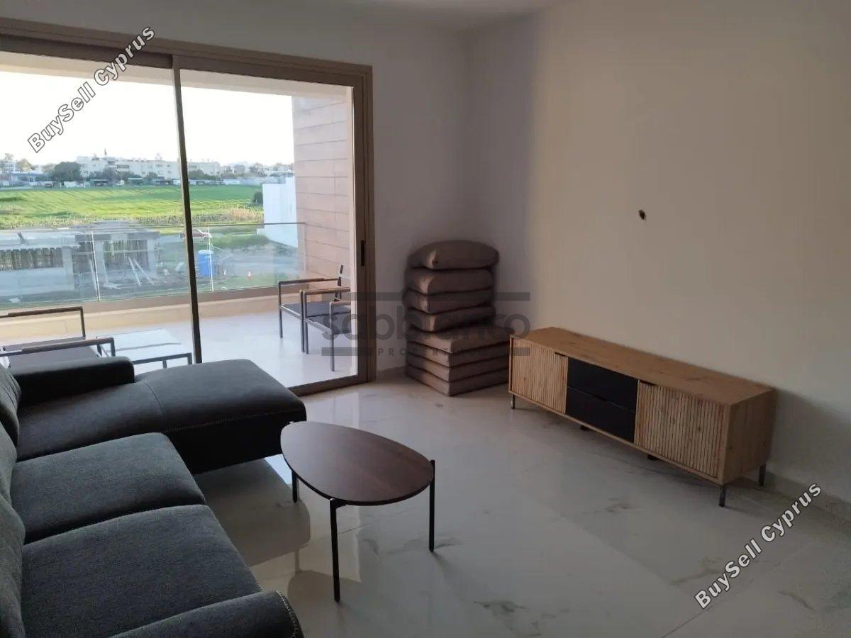 2 bedroom apartment for rent larnaca municipality larnaca 8738087 image 16359188