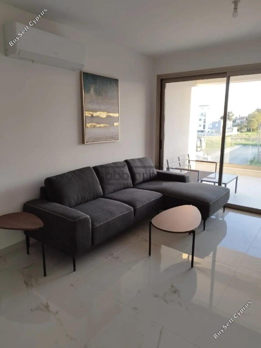 2 bedroom apartment for rent larnaca municipality larnaca 8738087 image 16359189
