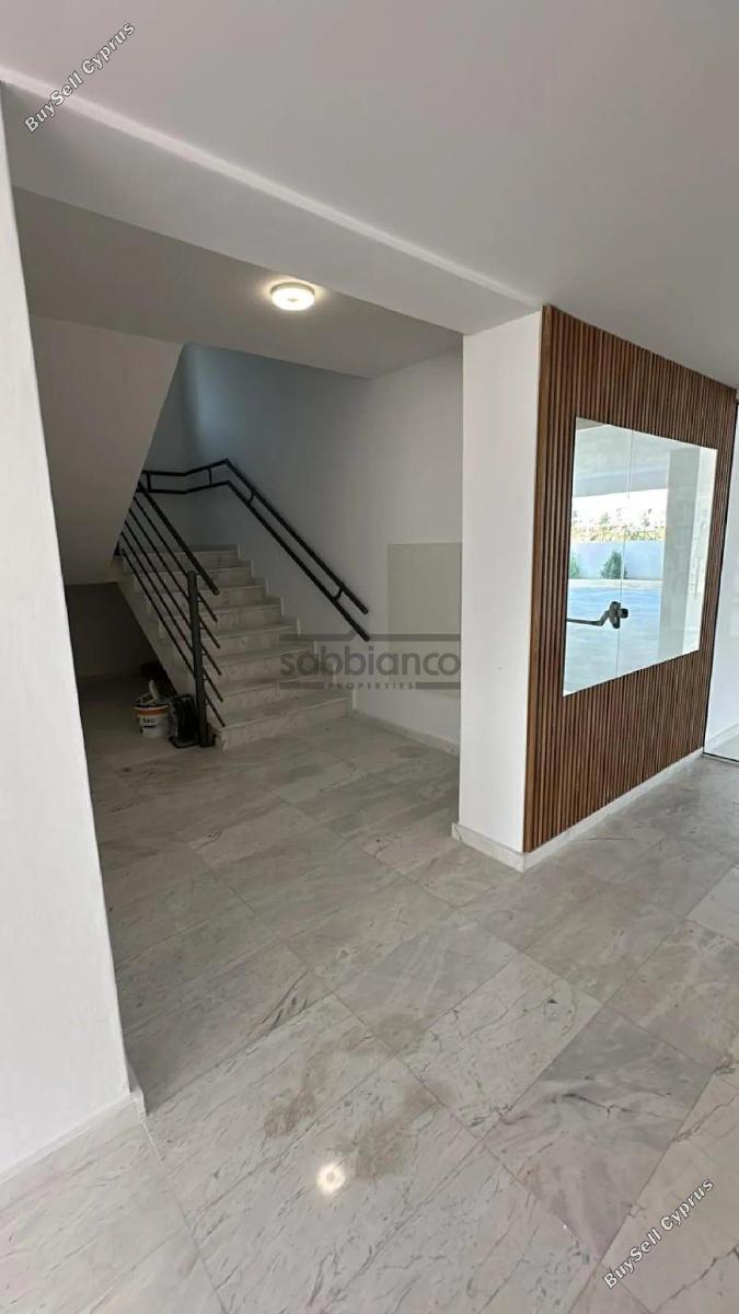 2 bedroom apartment for rent larnaca municipality larnaca 8738087 image 16359190