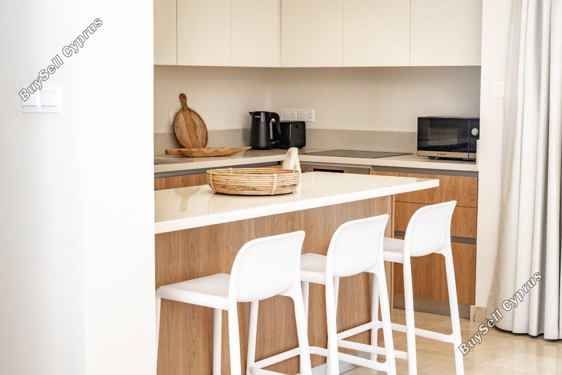 3 bedroom detached house for sale emba paphos 8238087 image 14242912