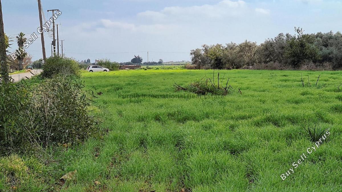 land for sale avgorou famagusta 7543187 image 9479802