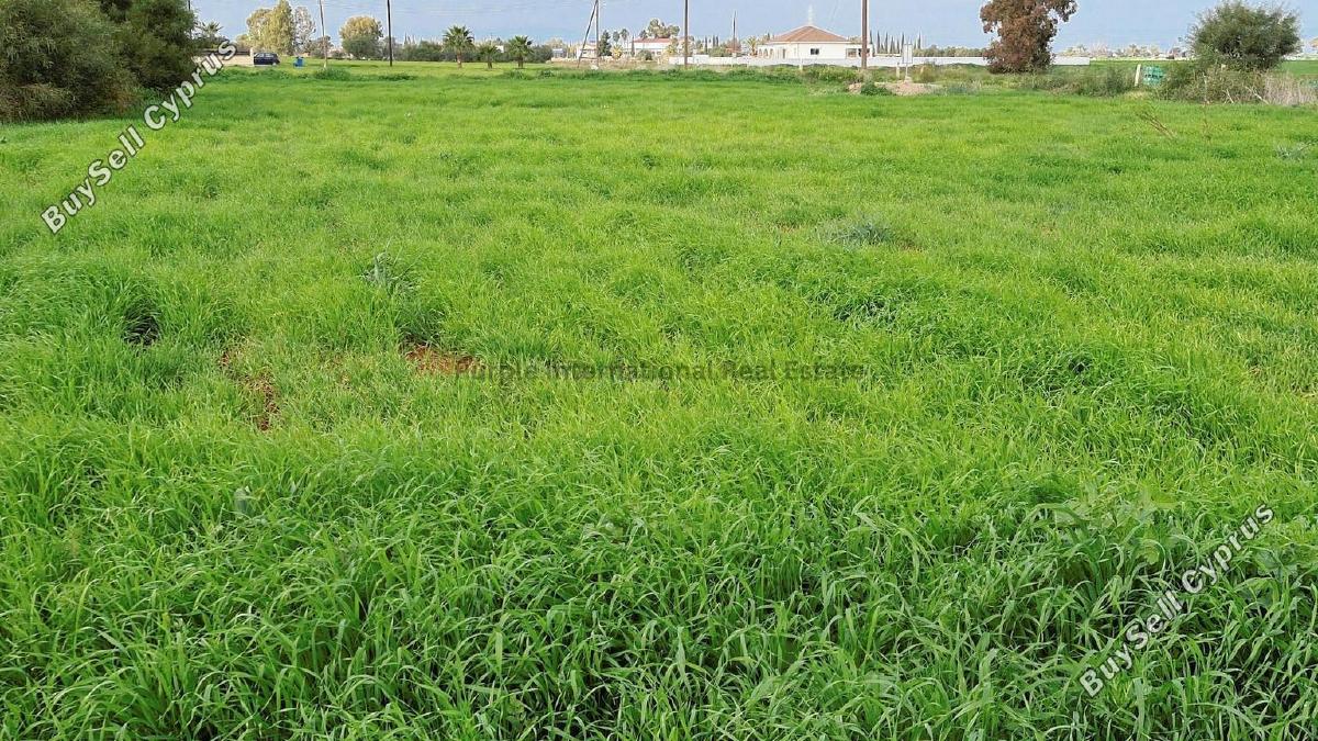 land for sale avgorou famagusta 7543187 image 9479804