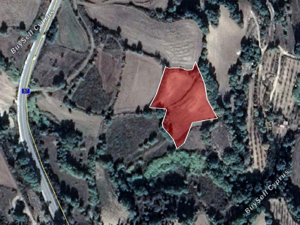 land for sale stroumbi paphos 8532187 image 16306610