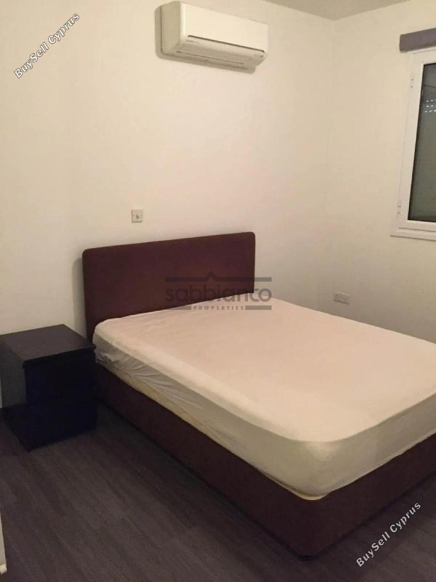 2 bedroom apartment for rent strovolos nicosia 8748287 image 16462082