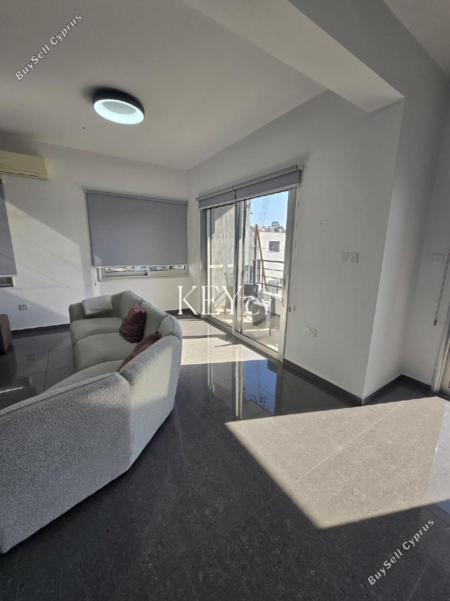 3 bedroom detached house for rent tsirion limassol 8890287 image 17318318