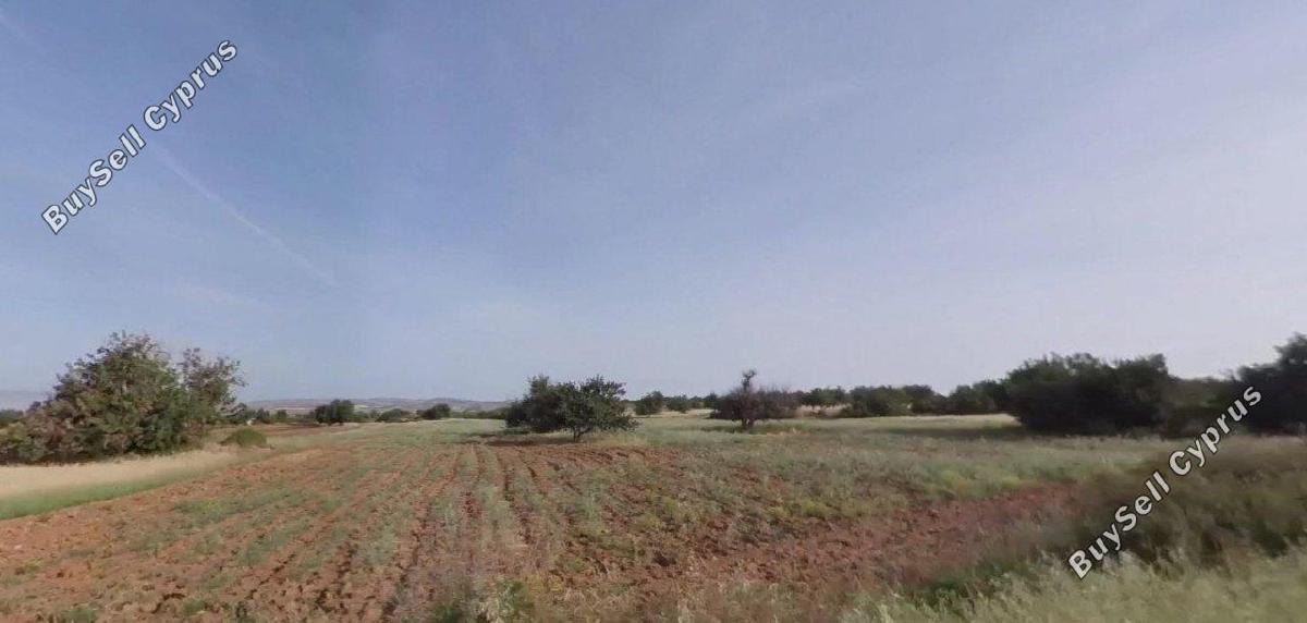 plot for sale kouklia pafou paphos 1681287 image 5169781