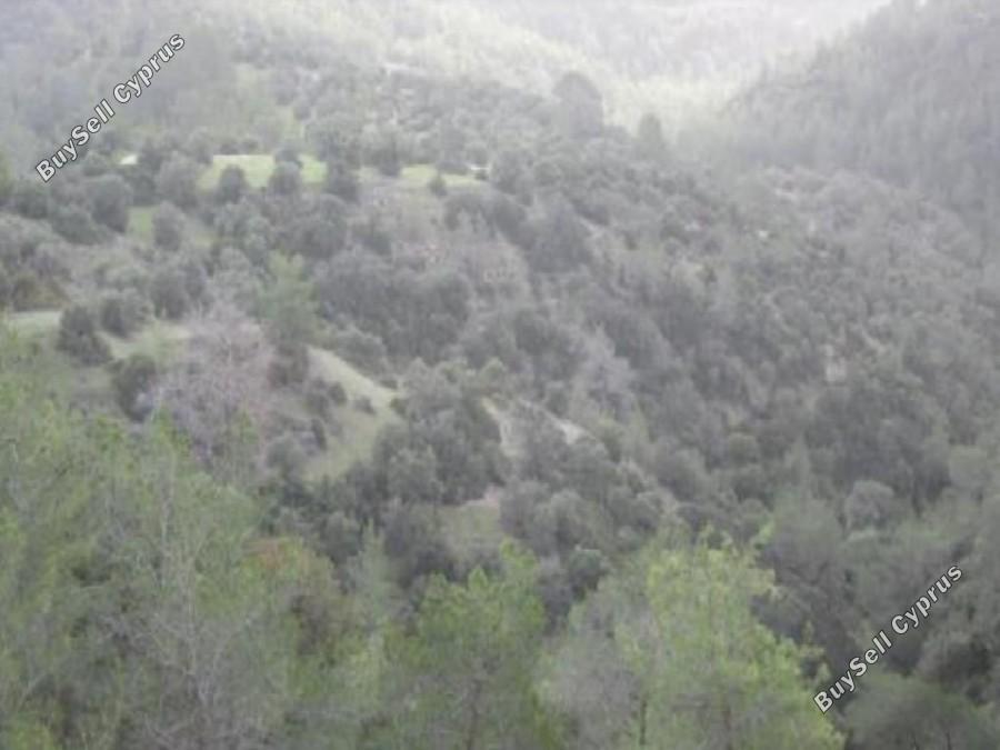 7693 SQM Land for sale in Amargeti, Paphos 15872984