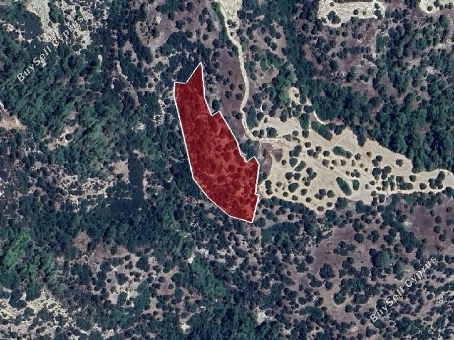 land for sale amargeti paphos 8630387 image 15872983