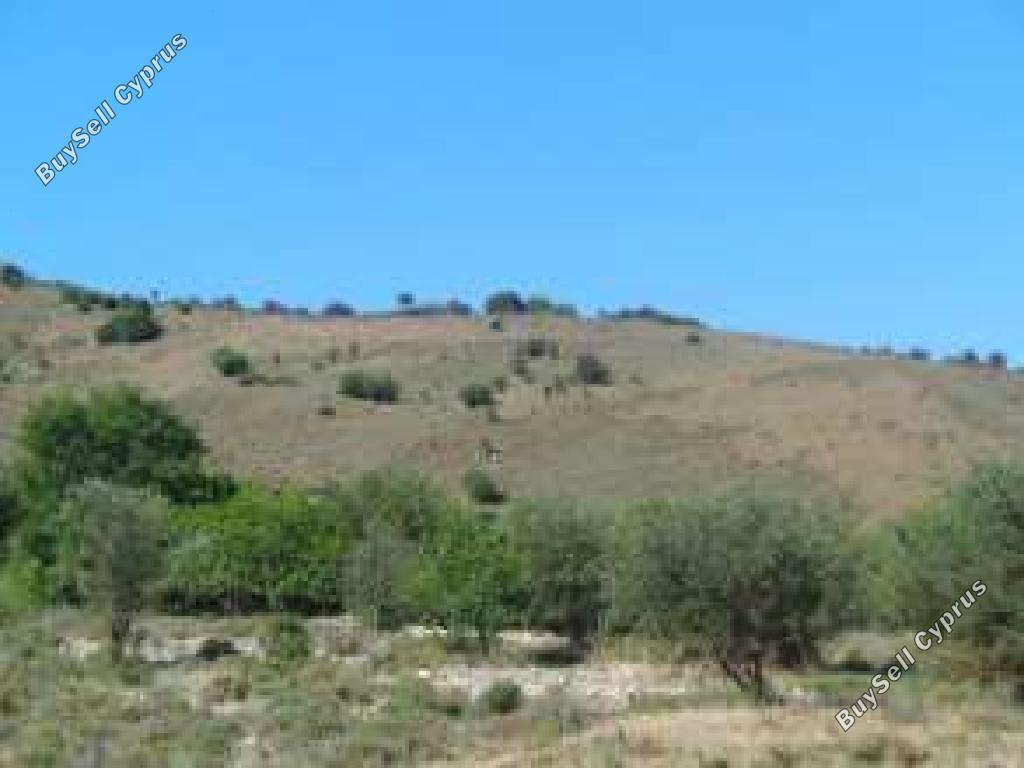 40135 SQM Land for sale in Axylou, Paphos 15599414