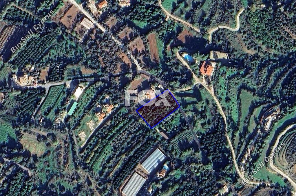 land for sale pomos paphos 1929587 image 14831221