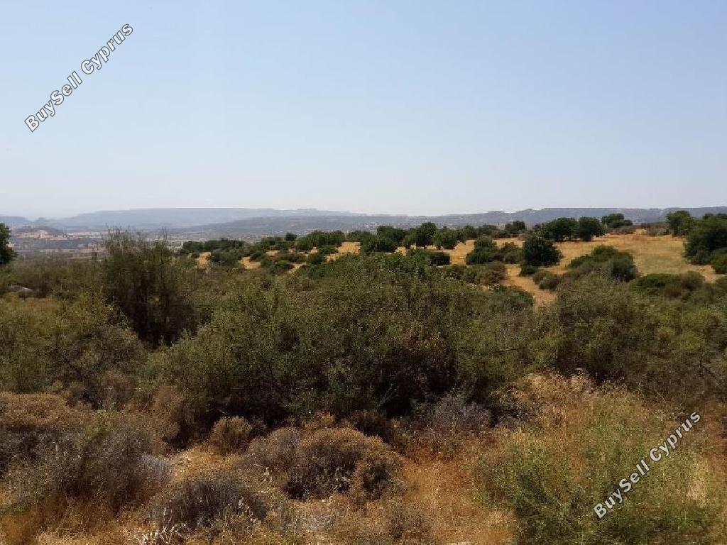 107025 SQM Land for sale in Prastio Avdimou, Limassol 15600612