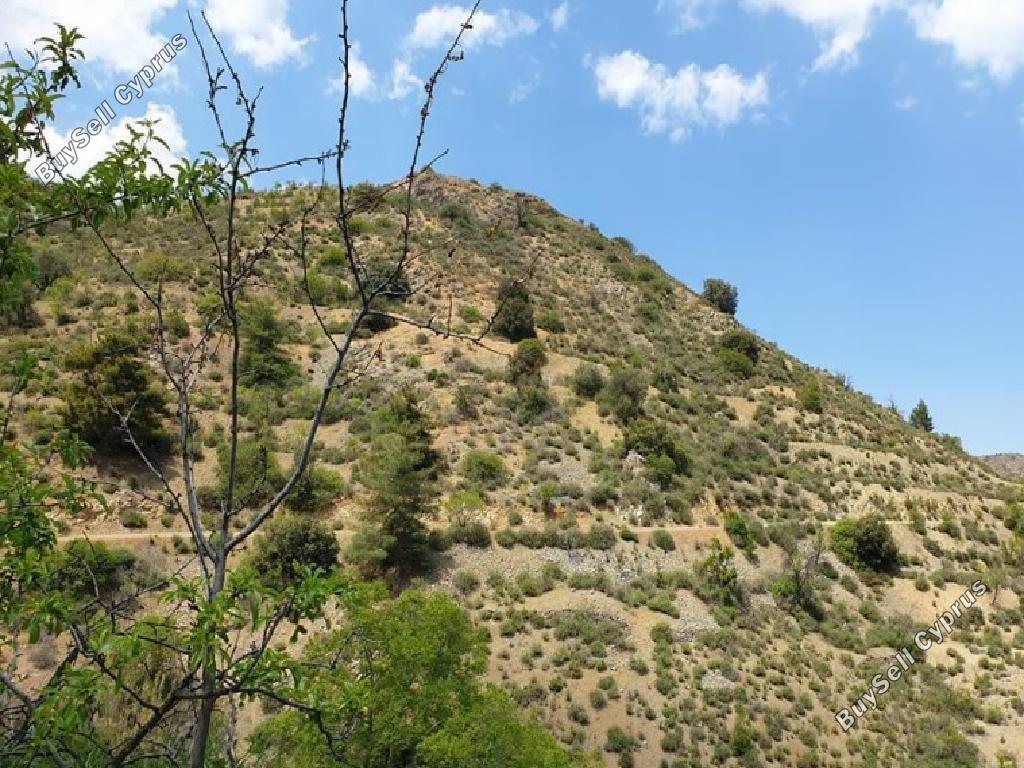 4497 SQM Land for sale in Askas, Nicosia 15603438