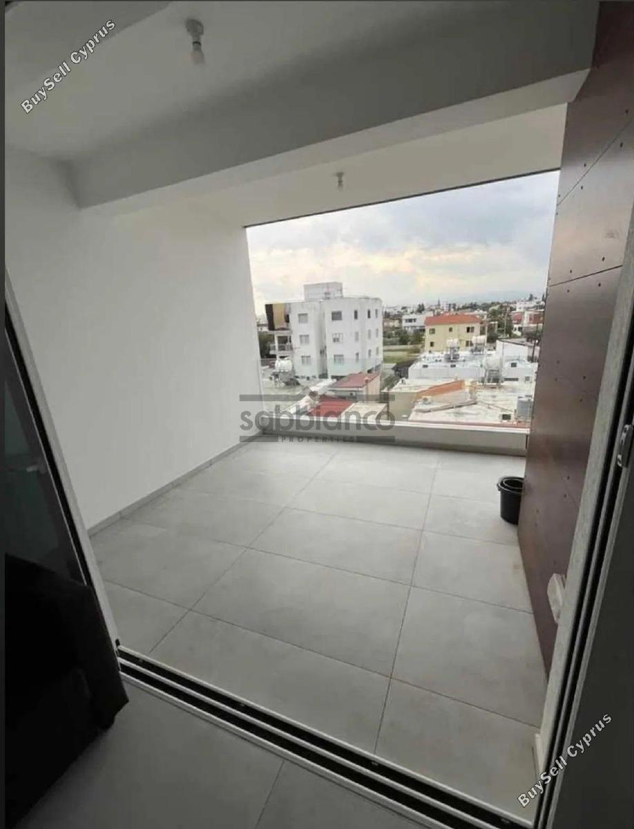 2 bedroom apartment for rent kato lakatamia nicosia 8739687 image 16373670
