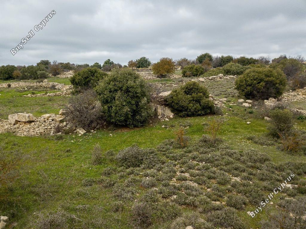 land for sale pachna limassol 8785687 image 16656342