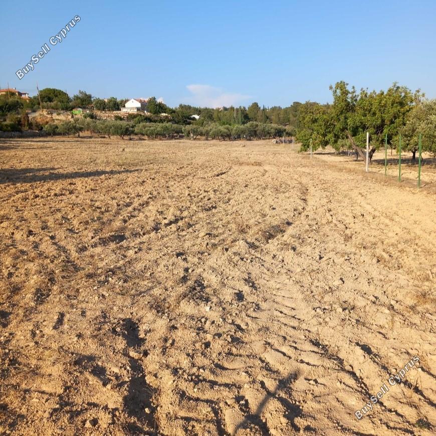 land for sale souni zanakia limassol 1912687 image 7400420
