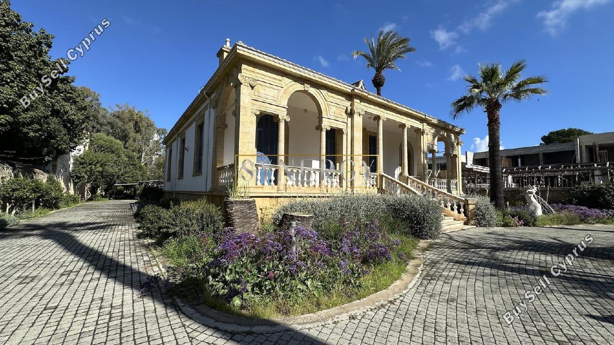studio commercial building for rent nicosia municipality nicosia 8463687 image 17493904