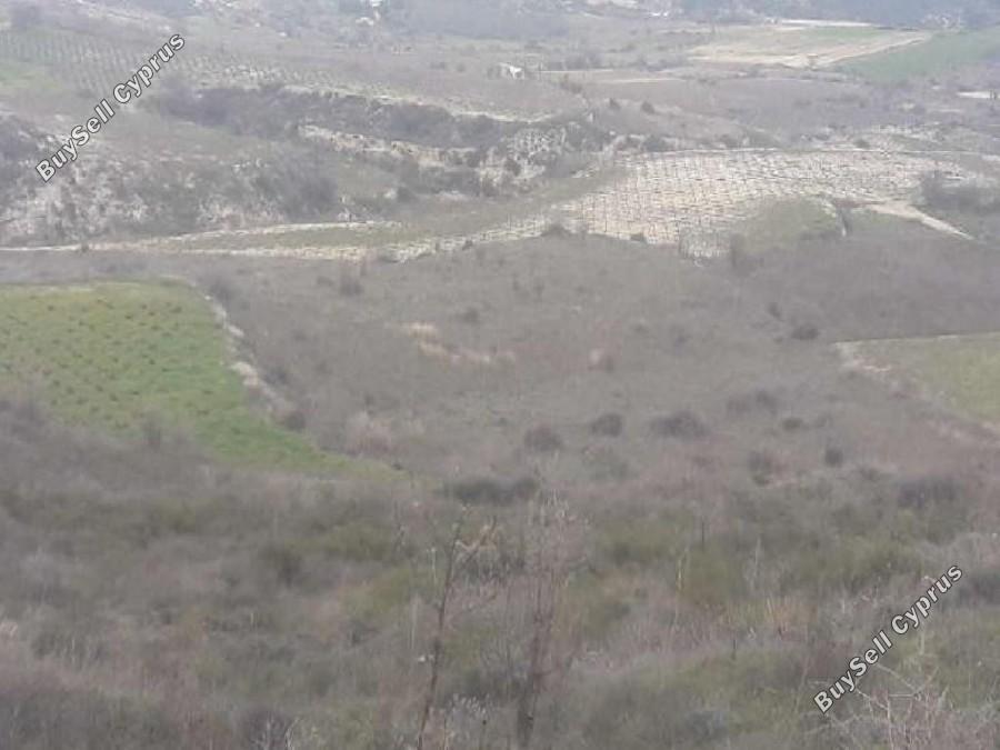 land for sale koilani limassol 8630787 image 16530720