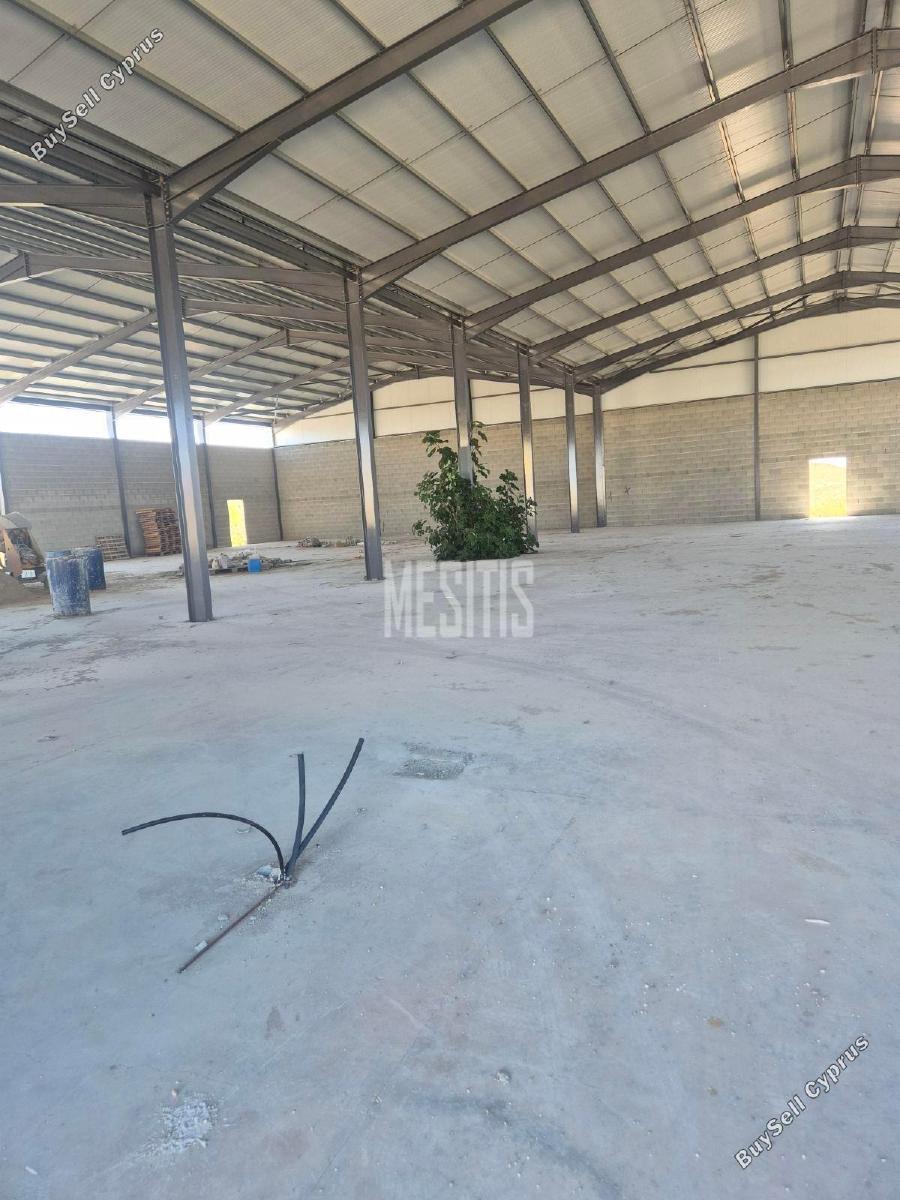 studio warehouse for sale alampra nicosia 1455787 image 17359442