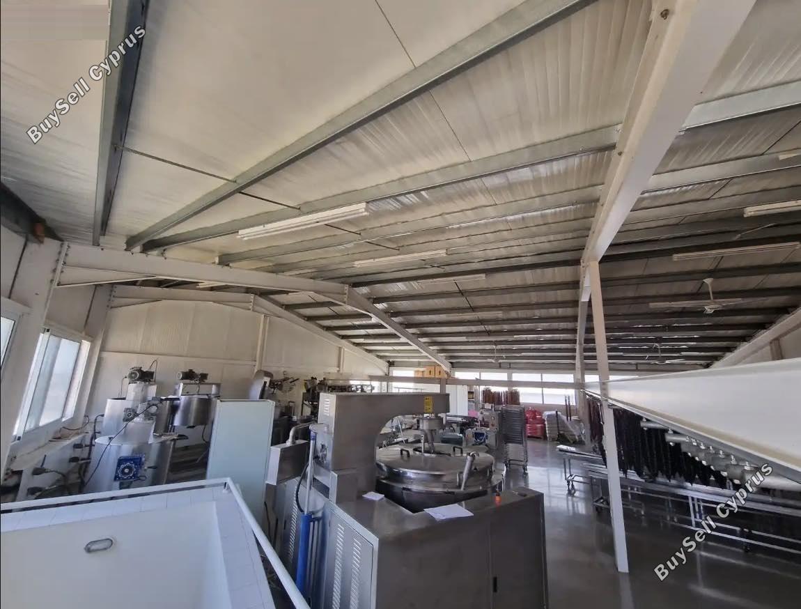studio warehouse for sale pano polemidia limassol 1545787 image 5866135