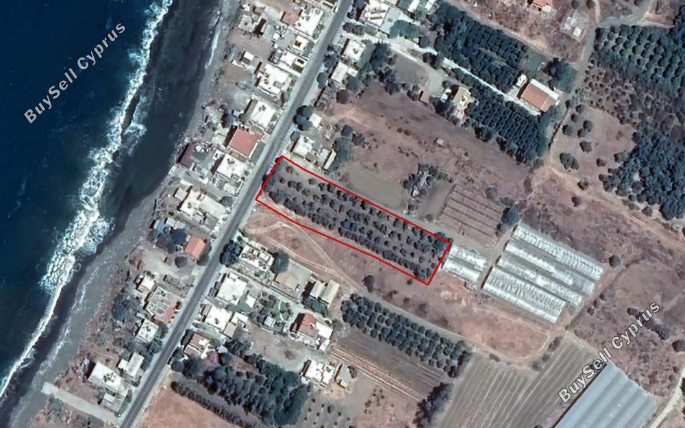 3891 SQM Land for sale in Agia Marina Chrysochous, Paphos 16149403