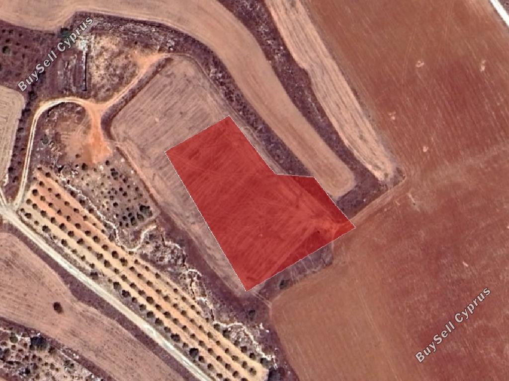 land for sale frenaros famagusta 980887 image 3988681
