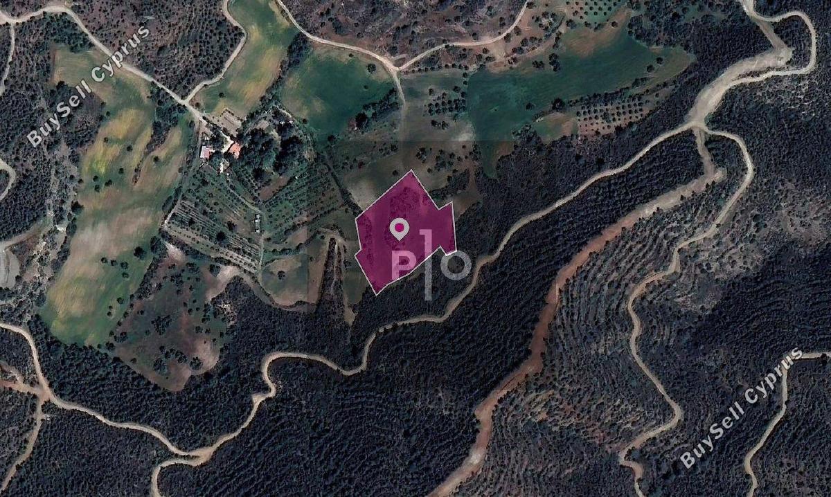 land for sale kofinou larnaca 8274887 image 15156083