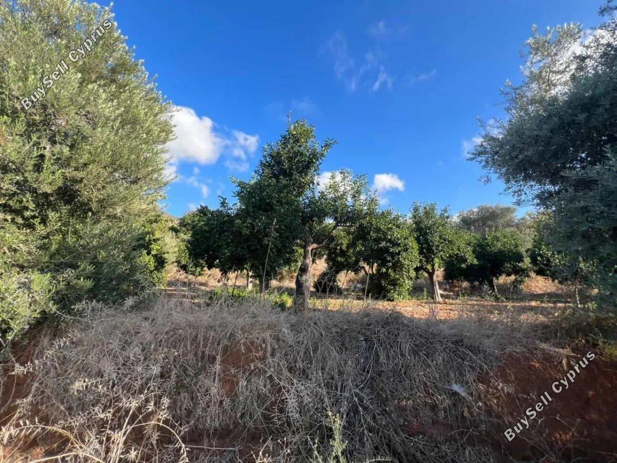 plot for sale nea dimmata paphos 8748987 image 16470411