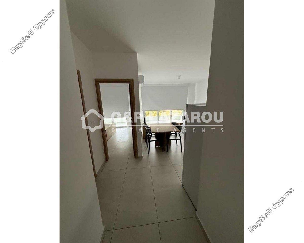 1 bedroom apartment for rent aglantzia nicosia 7838097 image 16334736