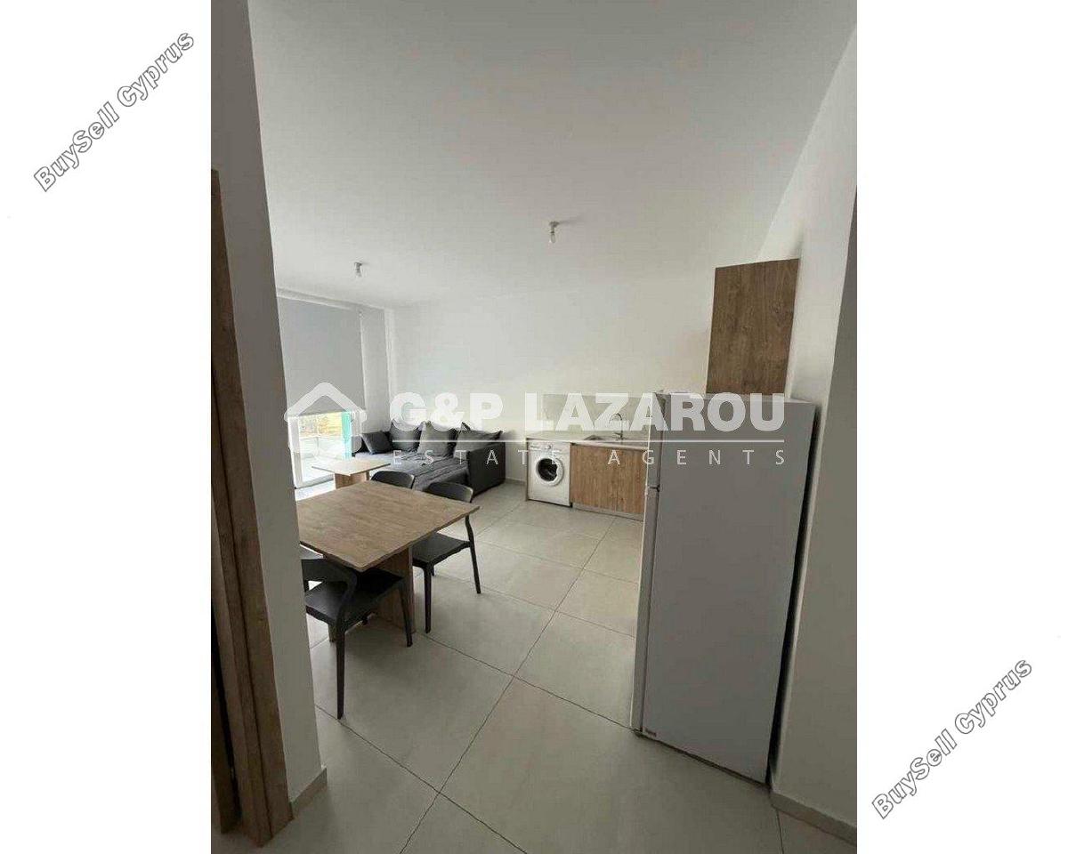 1 bedroom apartment for rent aglantzia nicosia 7838097 image 16334739