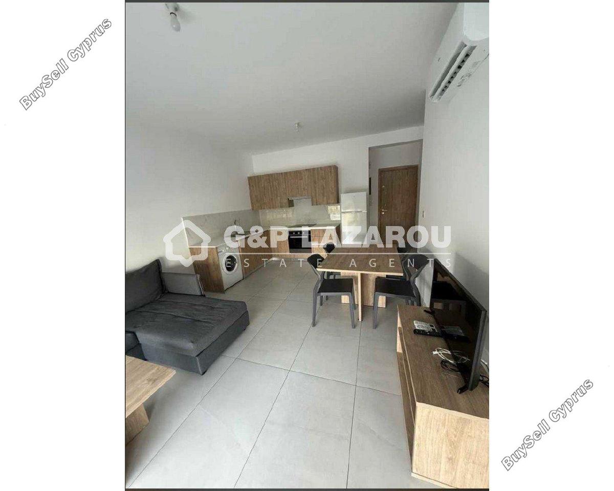 1 bedroom apartment for rent aglantzia nicosia 7838097 image 16334740