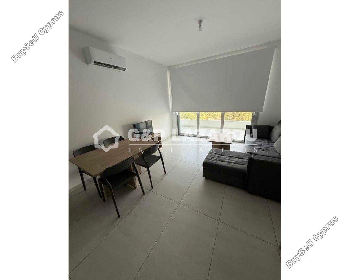 1 bedroom apartment for rent aglantzia nicosia 7838097 image 16334742