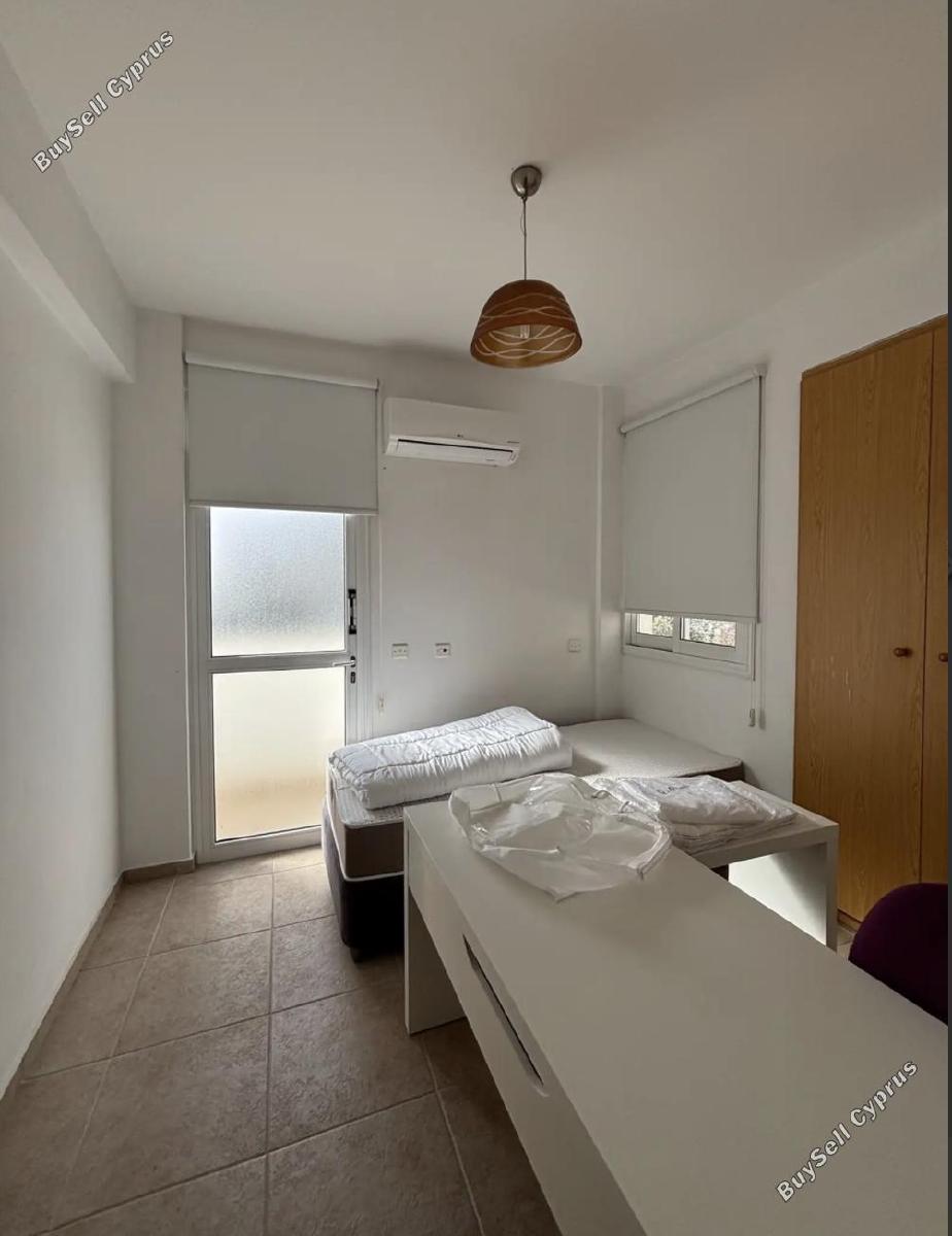 2 bedroom detached house for rent paphos municipality paphos 8399097 image 14828545